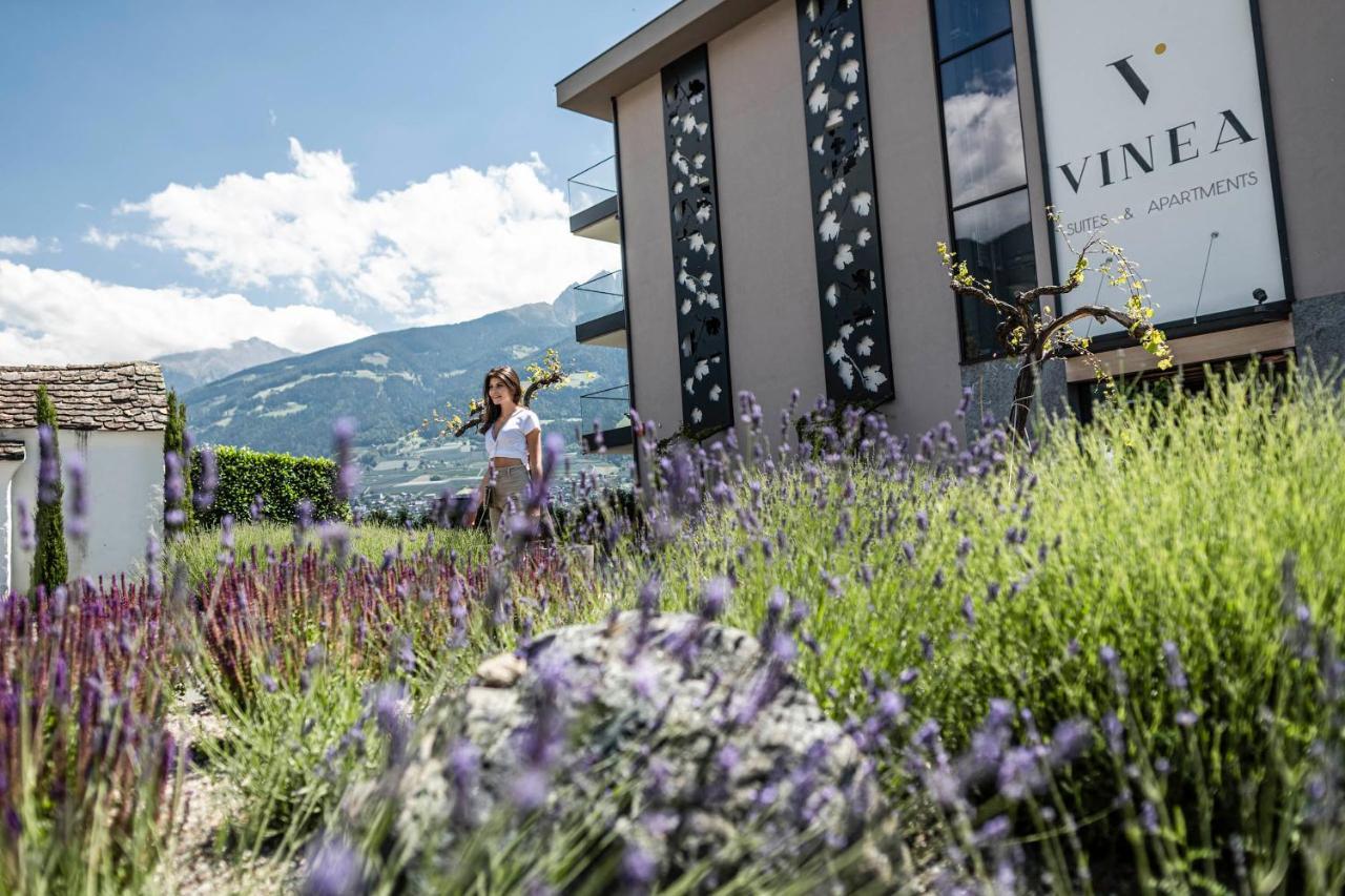 Vinea - Apartments Tirolo Exterior photo